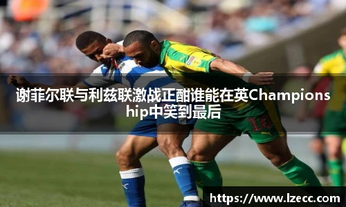 谢菲尔联与利兹联激战正酣谁能在英Championship中笑到最后